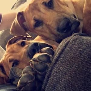 Meet your Posher, Tracey